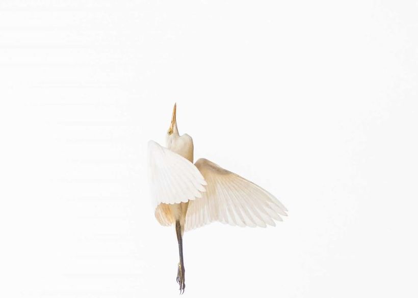 Блог - 10 феерических фото, одержавших победу на престижном конкурсе Sony World Photography 10 феерических фото, одержавших победу на престижном конкурсе Sony World Photography