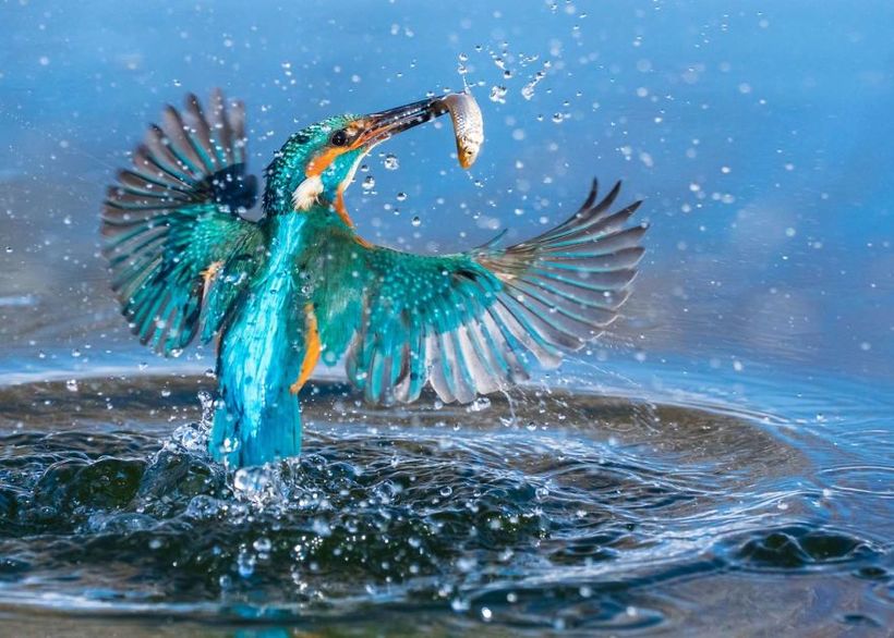 Блог - 10 феерических фото, одержавших победу на престижном конкурсе Sony World Photography 10 феерических фото, одержавших победу на престижном конкурсе Sony World Photography