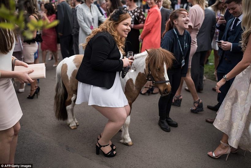 Блог - 28 феерических фото о том, как прошел День Леди на скачках Grand National в Англии 28 феерических фото о том, как прошел День Леди на скачках Grand National в Англии