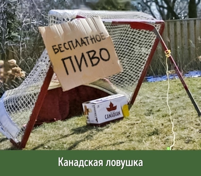Блог - 20 убедительных причин считать Канаду лучшей страной в мире 20 убедительных причин считать Канаду лучшей страной в мире