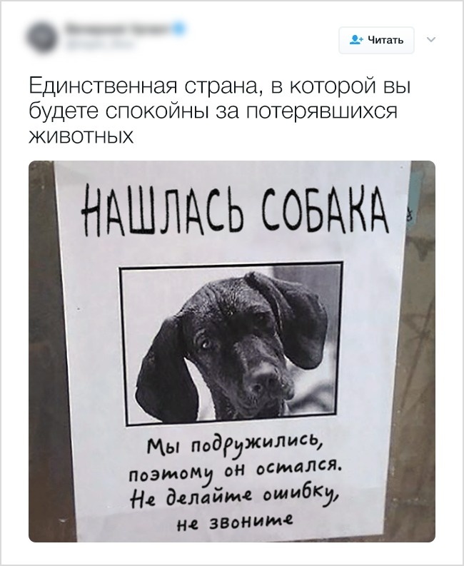 Блог - 20 убедительных причин считать Канаду лучшей страной в мире 20 убедительных причин считать Канаду лучшей страной в мире