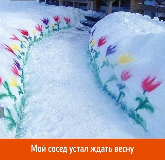 Блог - 20 убедительных причин считать Канаду лучшей страной в мире 20 убедительных причин считать Канаду лучшей страной в мире