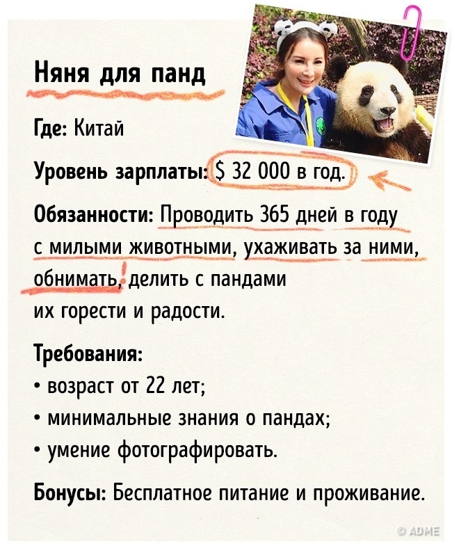 Блог - 15 оригинальных и потрясающих должностей со всего земного шара 15 оригинальных и потрясающих должностей со всего земного шара