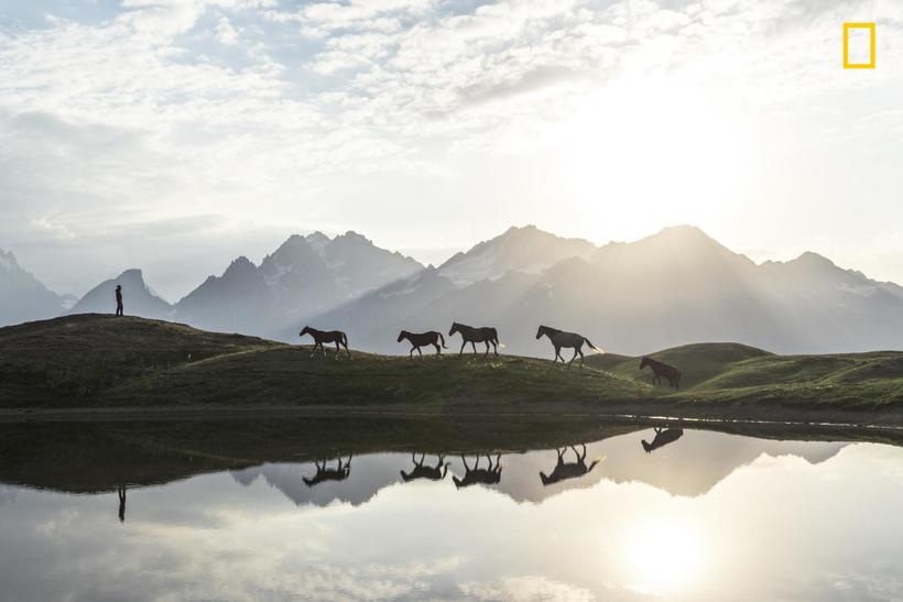 Блог - National Geographic представил первые снимки с конкурса Nature Photographer 2017 National Geographic представил первые снимки с конкурса Nature Photographer 2017