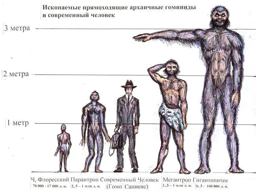 Блог - Люди-великаны: недостающее звено эволюции или вымысел Люди-великаны: недостающее звено эволюции или вымысел