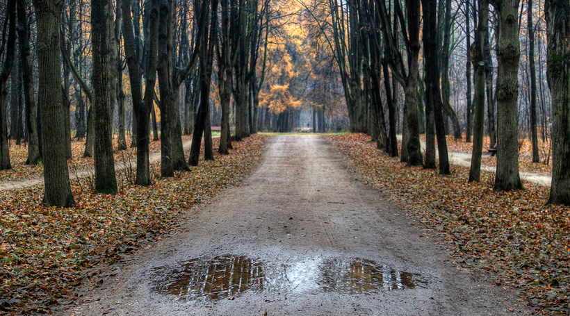 Лошицкий парк
