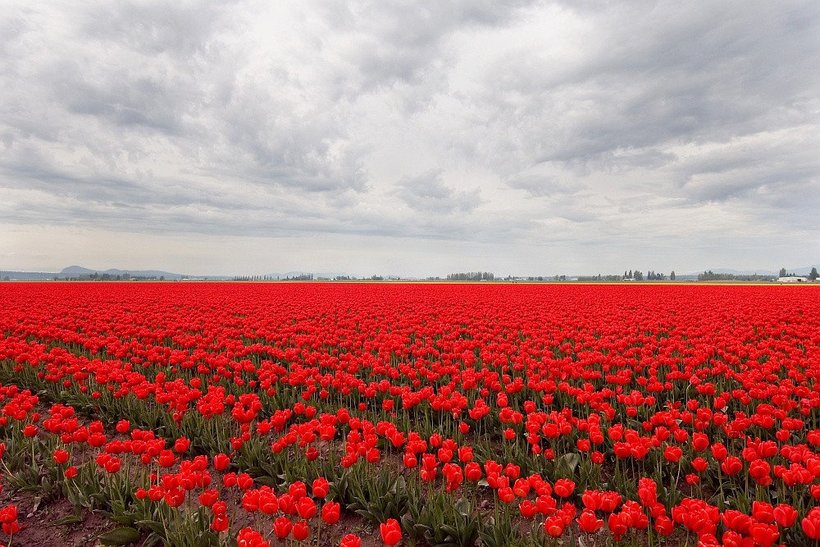 Блог - 7 удивительных флагов государств, которые сотворила сама природа 7 удивительных флагов государств, которые сотворила сама природа
