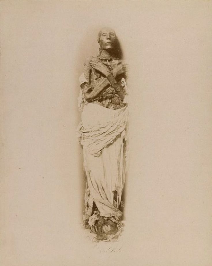 Блог - Древние чудеса Египта и его жители в 1800-х годах на фотографиях братьев Зангаки Древние чудеса Египта и его жители в 1800-х годах на фотографиях братьев Зангаки