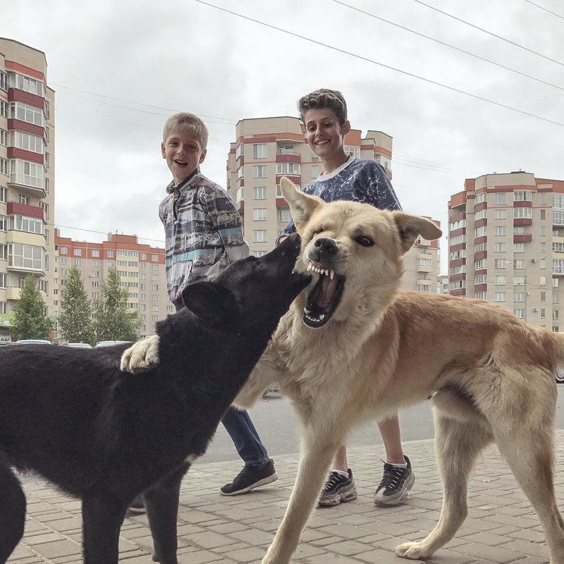 Блог - Печальные фото российской провинции, сделанные на iPhone социальным работником Печальные фото российской провинции, сделанные на iPhone социальным работником