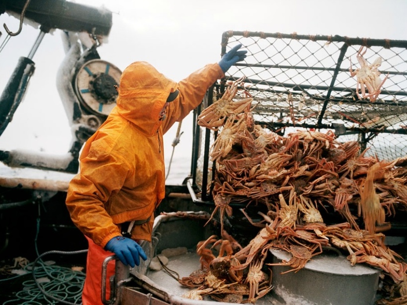 Блог - Чудеса и ужасы Берингова моря: рыбак показал, как морепродукты попадают к нам на стол Чудеса и ужасы Берингова моря: рыбак показал, как морепродукты попадают к нам на стол