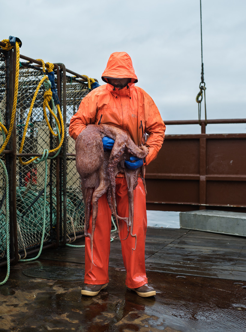 Блог - Чудеса и ужасы Берингова моря: рыбак показал, как морепродукты попадают к нам на стол Чудеса и ужасы Берингова моря: рыбак показал, как морепродукты попадают к нам на стол