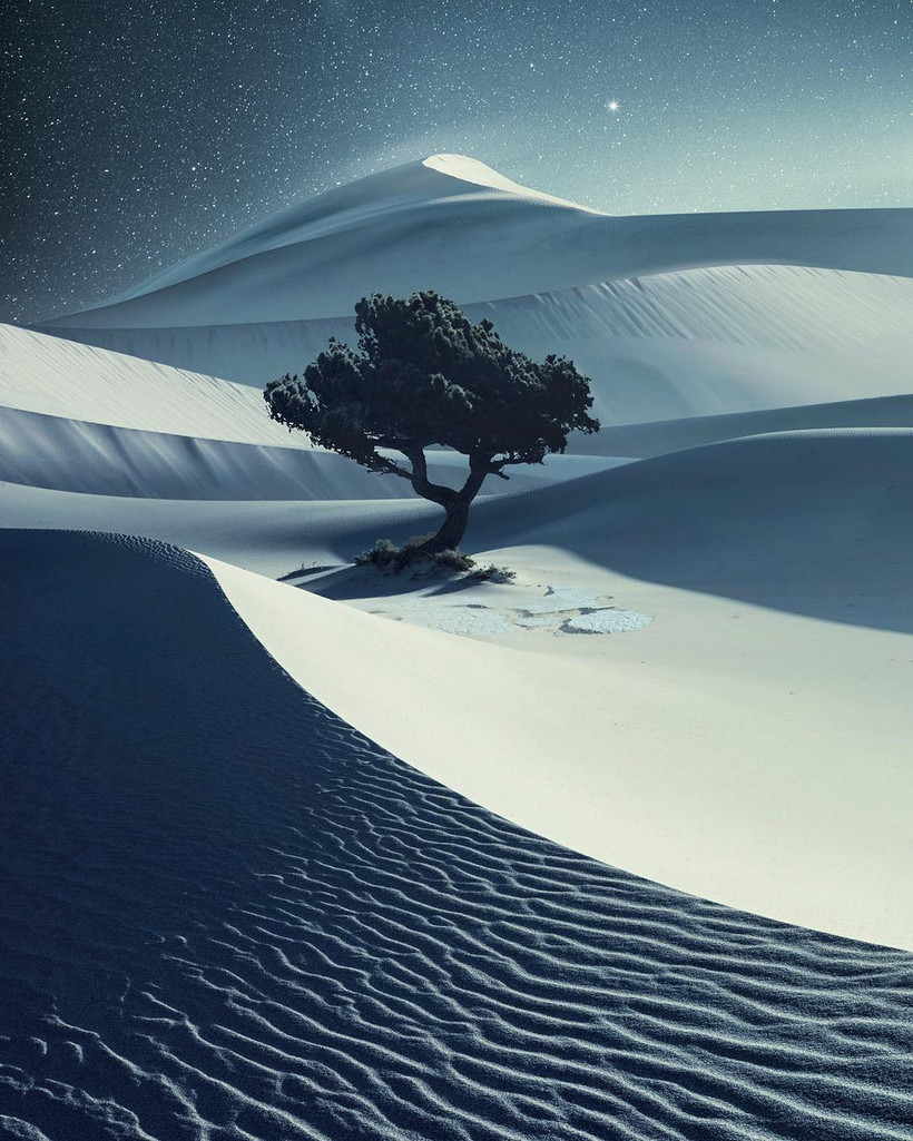 Блог - Победитель конкурса Hasselblad Masters Award делает поистине шедевральные снимки Победитель конкурса Hasselblad Masters Award делает поистине шедевральные снимки