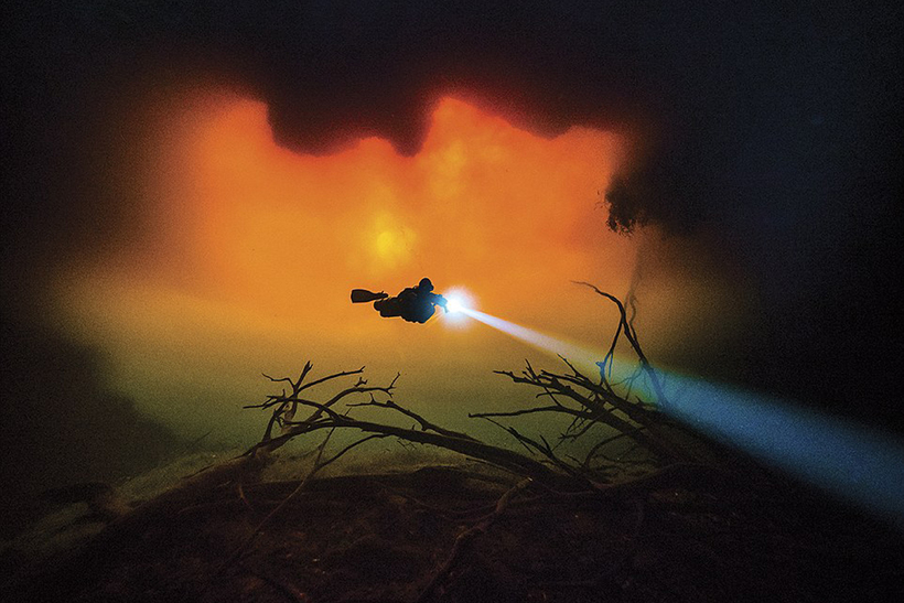 Блог - Изумительные снимки, победившие в конкурсе подводной фотографии Scuba Diving Изумительные снимки, победившие в конкурсе подводной фотографии Scuba Diving