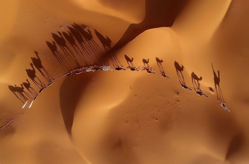 Блог - Фантастические победители международного конкурса Siena International Photo Awards Фантастические победители международного конкурса Siena International Photo Awards