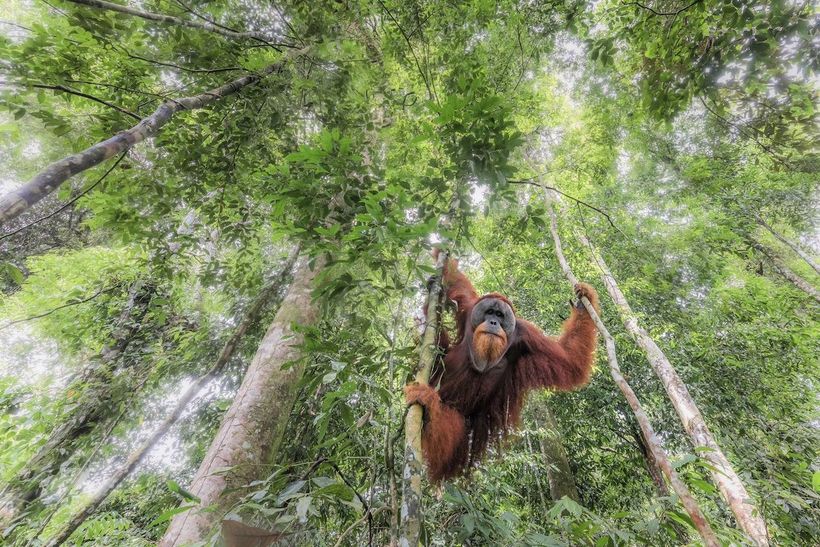Блог - Фантастические победители международного конкурса Siena International Photo Awards Фантастические победители международного конкурса Siena International Photo Awards
