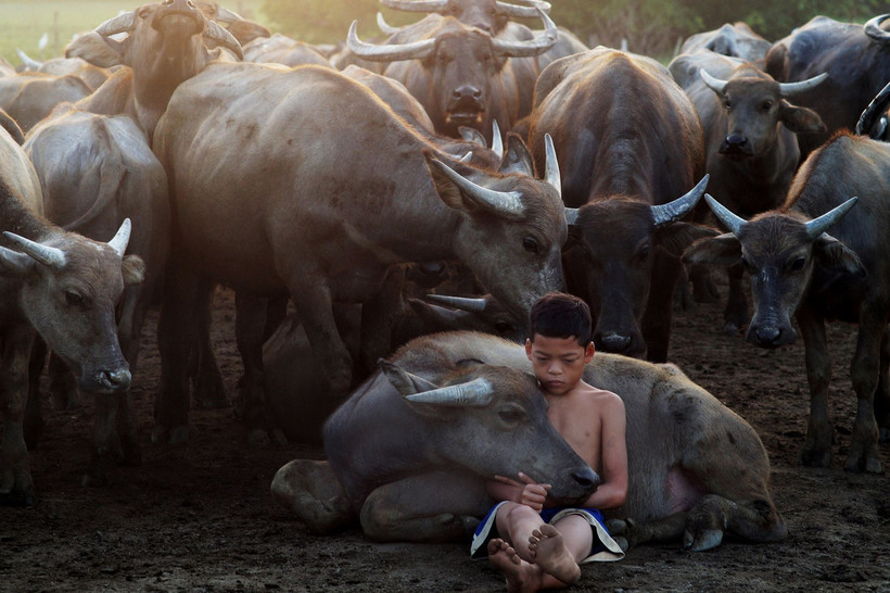 Блог - Фантастические победители международного конкурса Siena International Photo Awards Фантастические победители международного конкурса Siena International Photo Awards