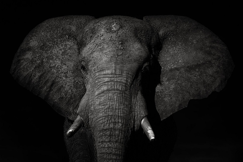 Блог - Победители в категории «Монохром» фотоконкурса Siena International Photo Awards 2018 Победители в категории «Монохром» фотоконкурса Siena International Photo Awards 2018