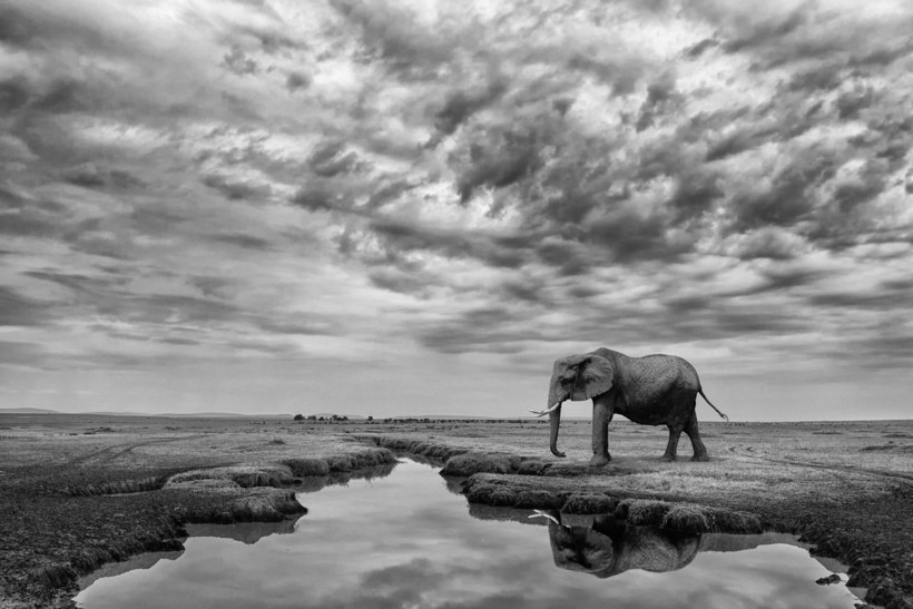 Блог - Победители в категории «Монохром» фотоконкурса Siena International Photo Awards 2018 Победители в категории «Монохром» фотоконкурса Siena International Photo Awards 2018