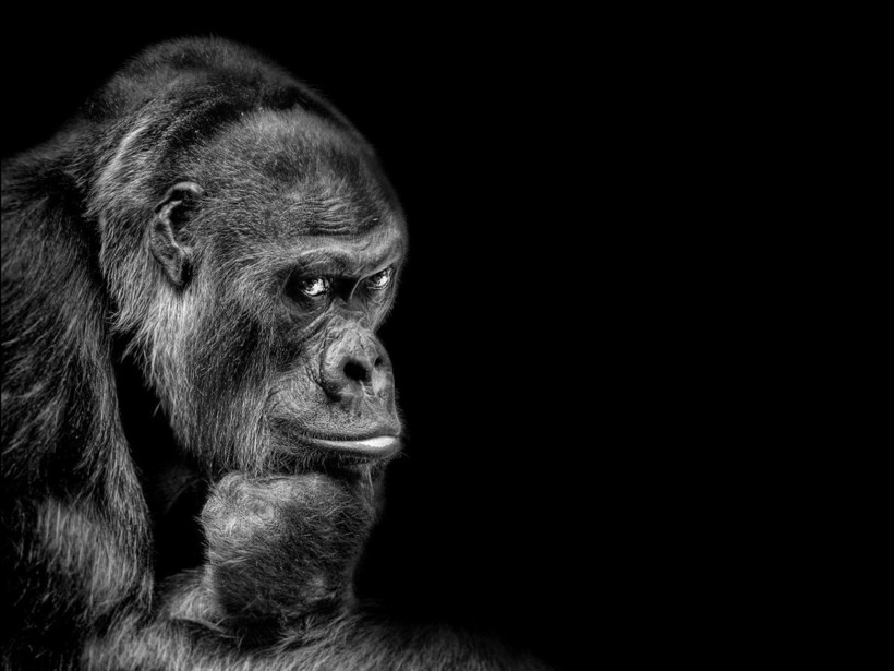 Блог - Победители в категории «Монохром» фотоконкурса Siena International Photo Awards 2018 Победители в категории «Монохром» фотоконкурса Siena International Photo Awards 2018