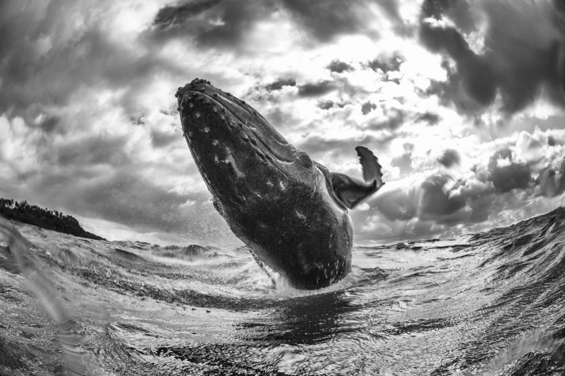 Блог - Победители в категории «Монохром» фотоконкурса Siena International Photo Awards 2018 Победители в категории «Монохром» фотоконкурса Siena International Photo Awards 2018