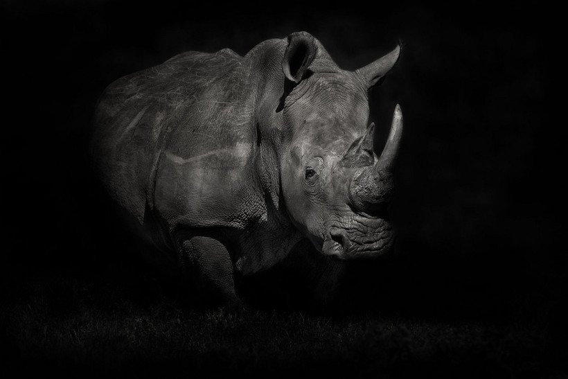 Блог - Победители в категории «Монохром» фотоконкурса Siena International Photo Awards 2018 Победители в категории «Монохром» фотоконкурса Siena International Photo Awards 2018