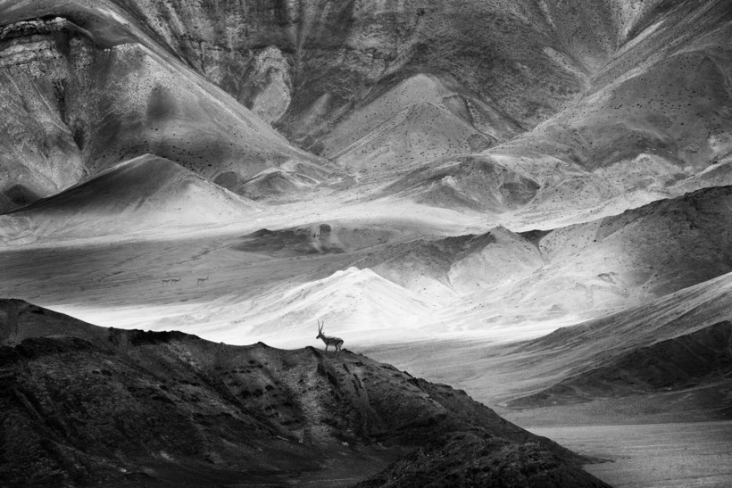 Блог - Победители в категории «Монохром» фотоконкурса Siena International Photo Awards 2018 Победители в категории «Монохром» фотоконкурса Siena International Photo Awards 2018