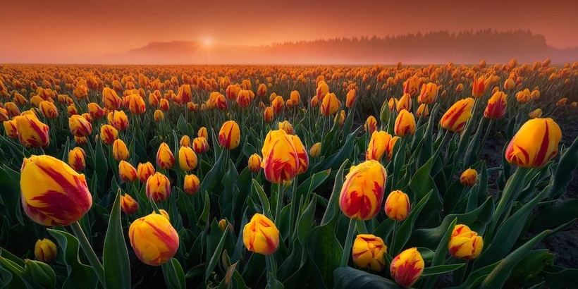 Блог - Великолепные победители фотоконкурса панорам Epson International Pano Awards 2018 Великолепные победители фотоконкурса панорам Epson International Pano Awards 2018