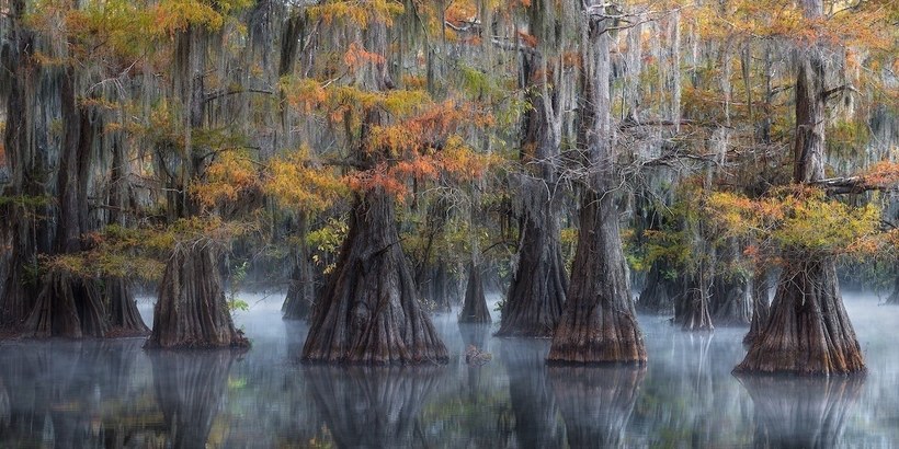 Блог - Великолепные победители фотоконкурса панорам Epson International Pano Awards 2018 Великолепные победители фотоконкурса панорам Epson International Pano Awards 2018