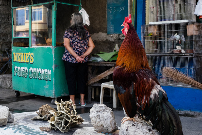 Блог - Победитель и финалисты конкурса уличной фотографии SPi Street Awards 2018 Победитель и финалисты конкурса уличной фотографии SPi Street Awards 2018