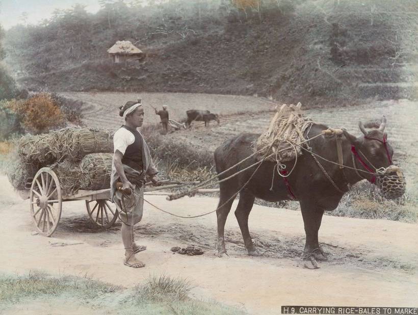 Блог - Бесценные старинные фото показывают, как жили японцы в 1890-х Бесценные старинные фото показывают, как жили японцы в 1890-х