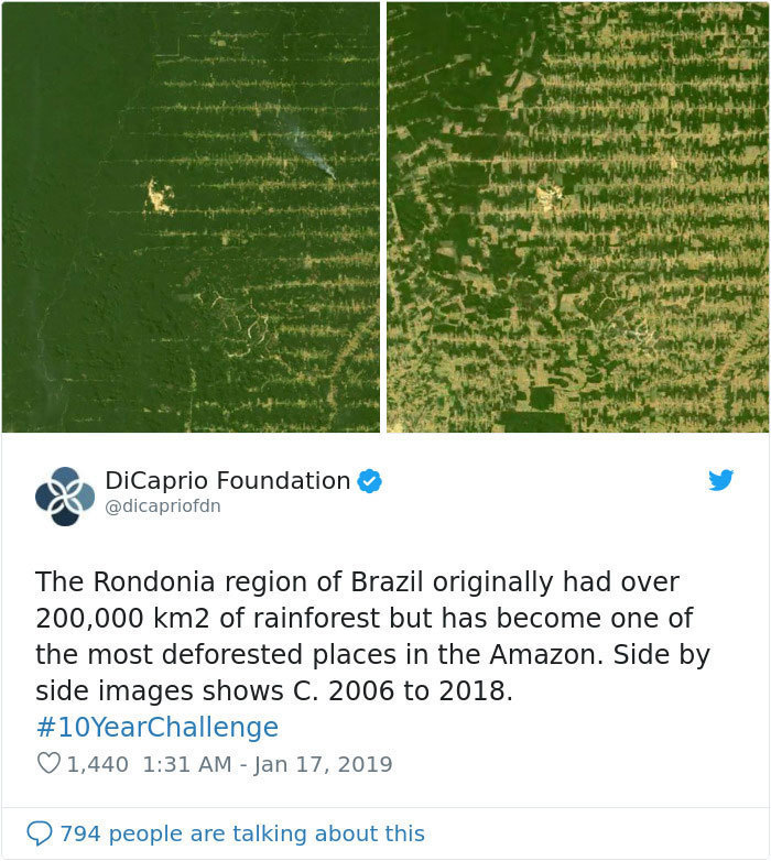 Блог - Самый пугающий и грустный #10YearChallenge: что произошло с нашей планетой за 10 лет Самый пугающий и грустный #10YearChallenge: что произошло с нашей планетой за 10 лет