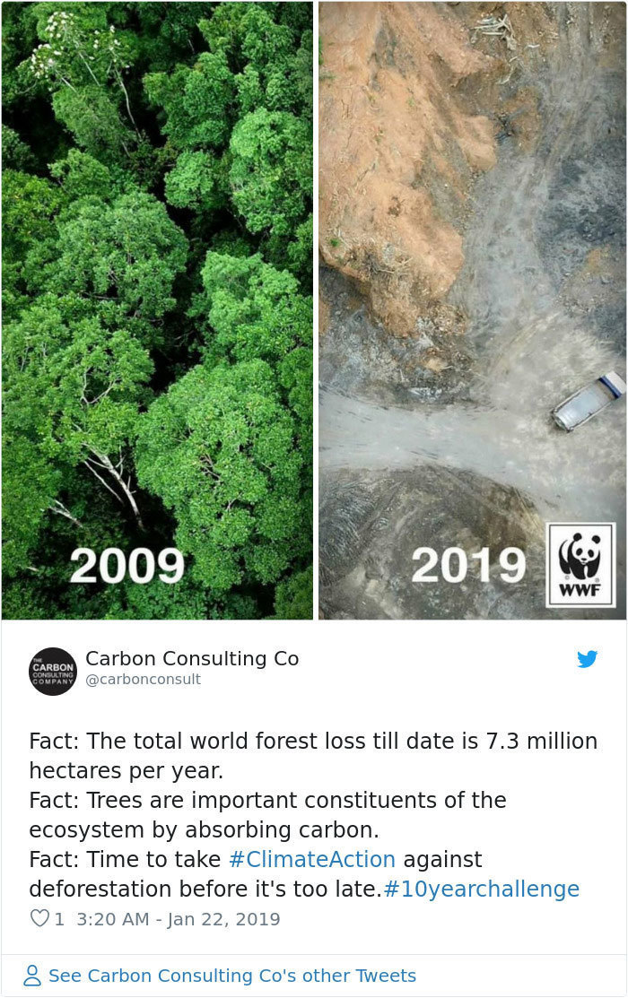 Блог - Самый пугающий и грустный #10YearChallenge: что произошло с нашей планетой за 10 лет Самый пугающий и грустный #10YearChallenge: что произошло с нашей планетой за 10 лет
