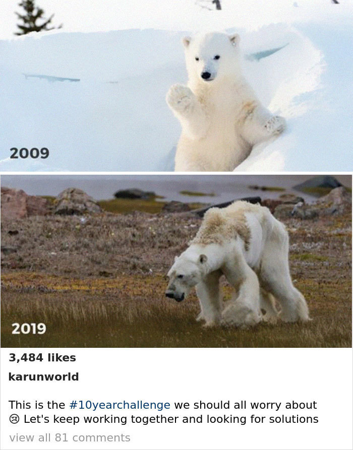 Блог - Самый пугающий и грустный #10YearChallenge: что произошло с нашей планетой за 10 лет Самый пугающий и грустный #10YearChallenge: что произошло с нашей планетой за 10 лет