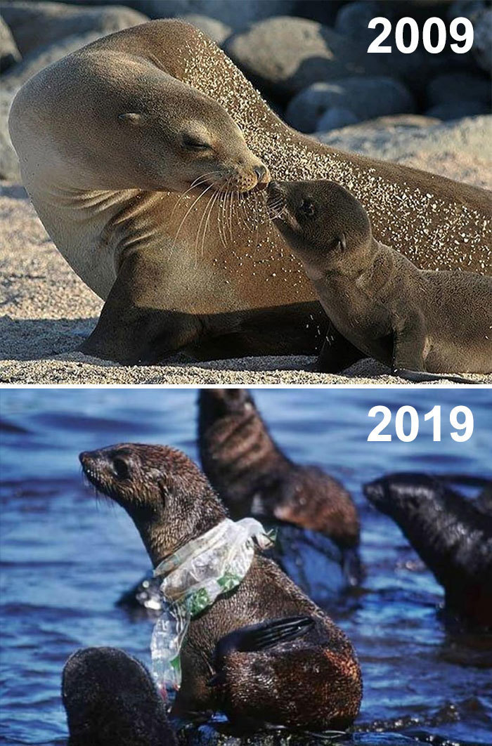 Блог - Самый пугающий и грустный #10YearChallenge: что произошло с нашей планетой за 10 лет Самый пугающий и грустный #10YearChallenge: что произошло с нашей планетой за 10 лет