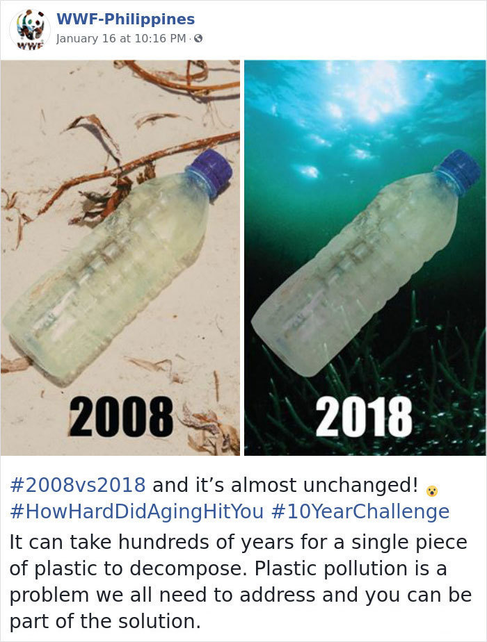 Блог - Самый пугающий и грустный #10YearChallenge: что произошло с нашей планетой за 10 лет Самый пугающий и грустный #10YearChallenge: что произошло с нашей планетой за 10 лет