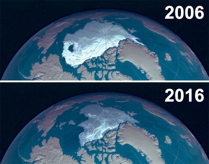 Блог - Самый пугающий и грустный #10YearChallenge: что произошло с нашей планетой за 10 лет Самый пугающий и грустный #10YearChallenge: что произошло с нашей планетой за 10 лет
