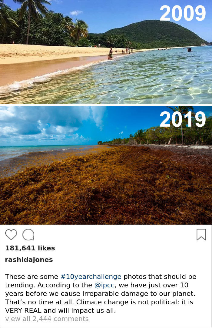 Блог - Самый пугающий и грустный #10YearChallenge: что произошло с нашей планетой за 10 лет Самый пугающий и грустный #10YearChallenge: что произошло с нашей планетой за 10 лет