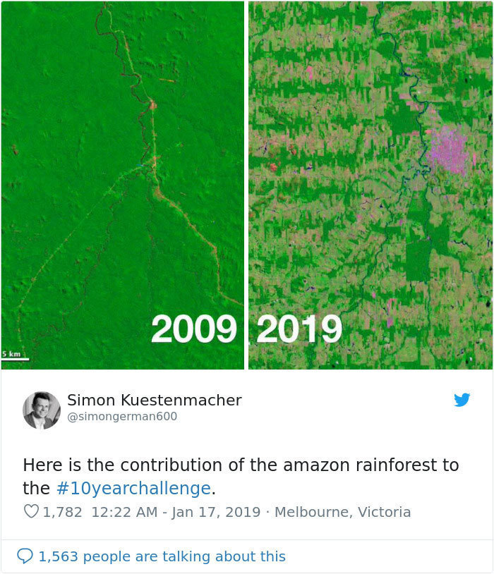 Блог - Самый пугающий и грустный #10YearChallenge: что произошло с нашей планетой за 10 лет Самый пугающий и грустный #10YearChallenge: что произошло с нашей планетой за 10 лет