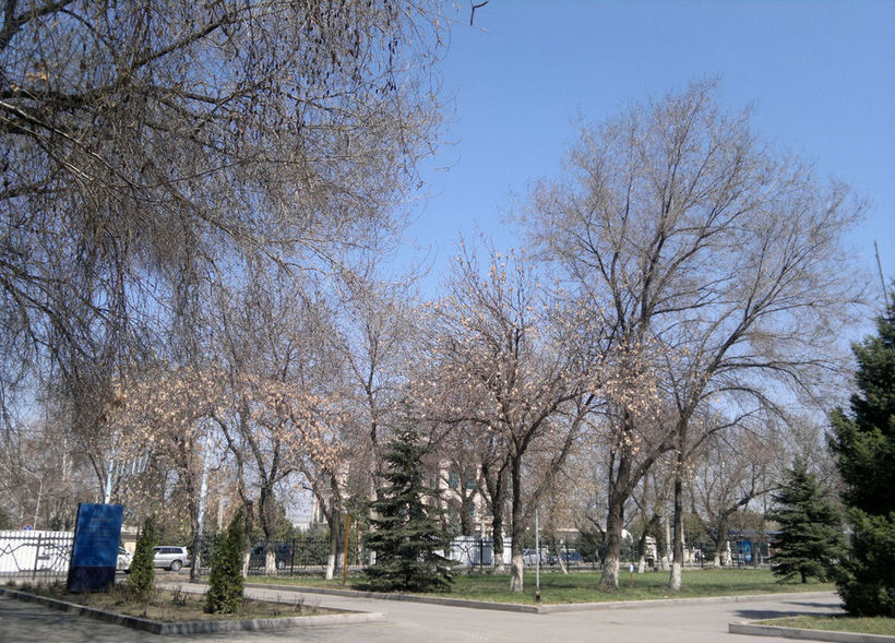 Алматинский парк «Жибек Жолы». Апрель.