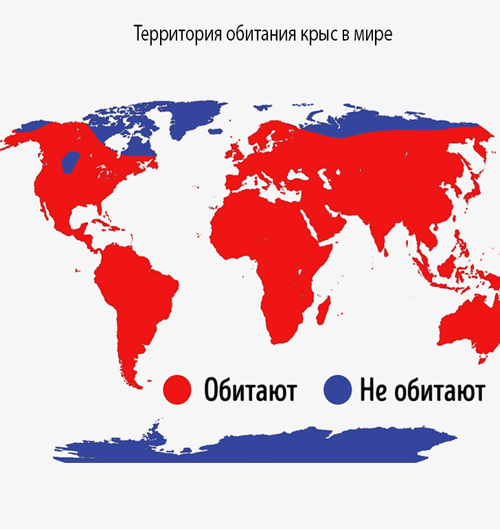 Блог - 17 крутых карт с самой интересной статистикой повседневной жизни людей во всем мире 17 крутых карт с самой интересной статистикой повседневной жизни людей во всем мире