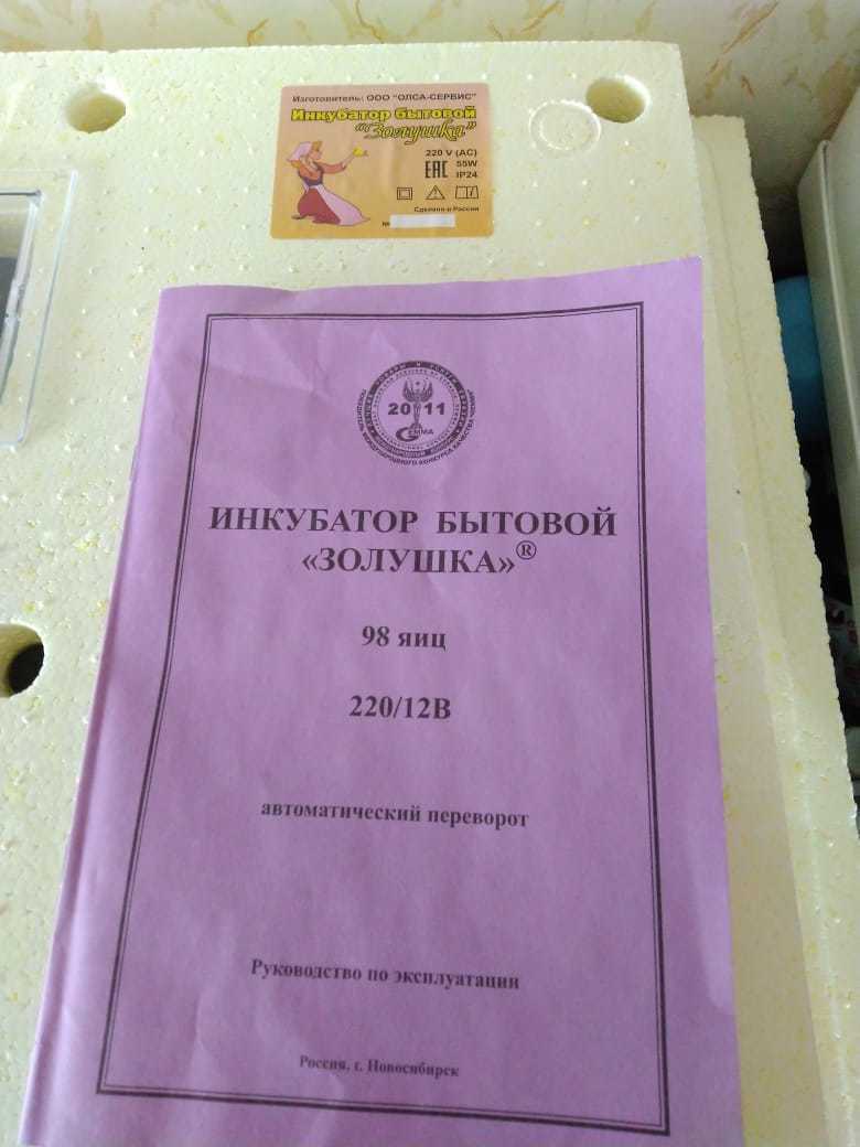 Блог - Возможно ли вывести птенцов из перепелиных яиц, купленных в «Ашане» Возможно ли вывести птенцов из перепелиных яиц, купленных в «Ашане»