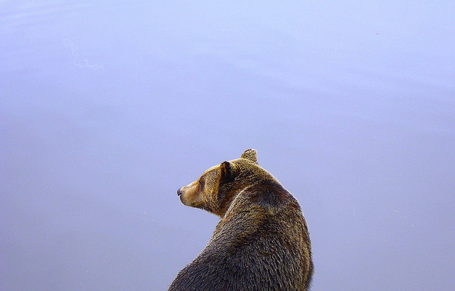 ​5 безумных алкогольных игр со всего мира