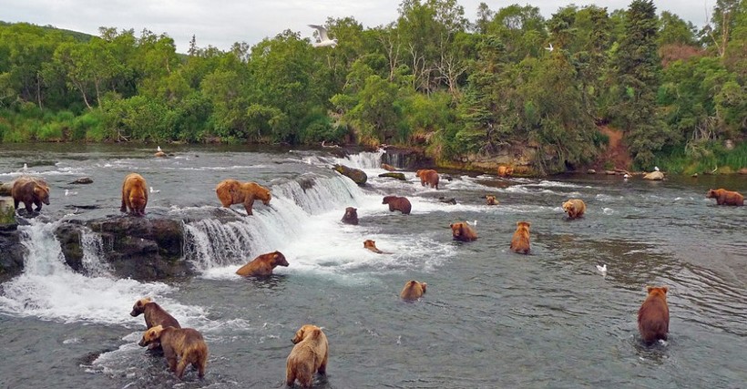 Блог - 58 невероятных фотографий национальных парков Америки. Часть 2 58 невероятных фотографий национальных парков Америки. Часть 2