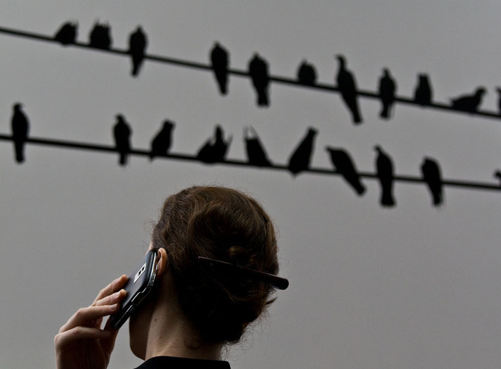 ​6 советов о том, как лучше фотографировать на смартфон