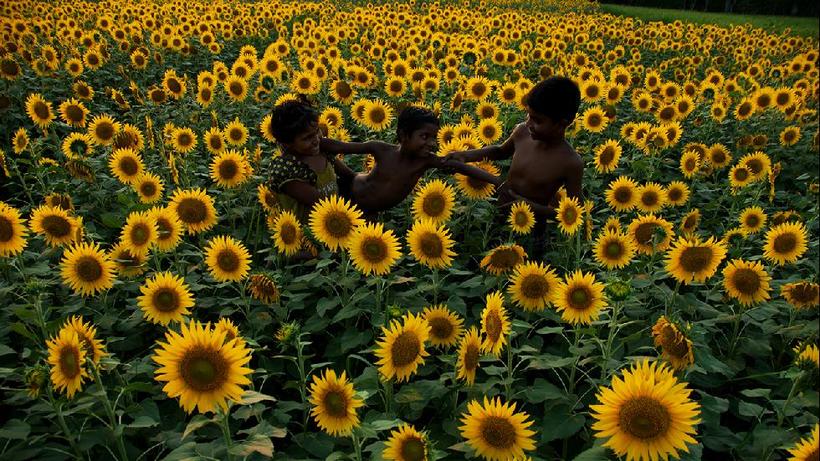 Блог - 18 ошеломляющих снимков, представленных Sony World Photography Awards 18 ошеломляющих снимков, представленных Sony World Photography Awards