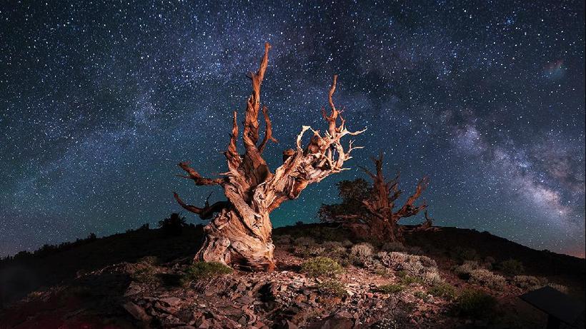 Блог - 18 ошеломляющих снимков, представленных Sony World Photography Awards 18 ошеломляющих снимков, представленных Sony World Photography Awards