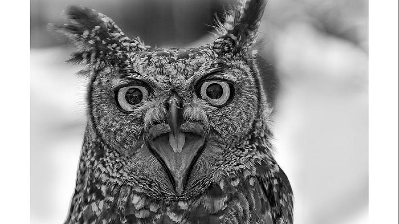 Блог - 18 ошеломляющих снимков, представленных Sony World Photography Awards 18 ошеломляющих снимков, представленных Sony World Photography Awards