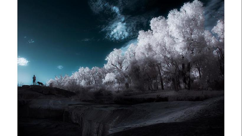 Блог - 18 ошеломляющих снимков, представленных Sony World Photography Awards 18 ошеломляющих снимков, представленных Sony World Photography Awards