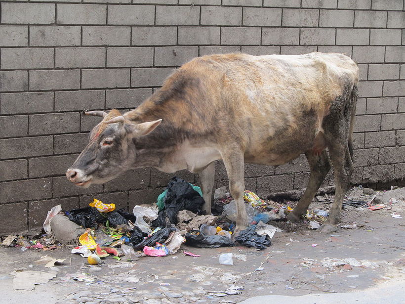 10 самых грязных городов мира, в которых не стоит отдыхать