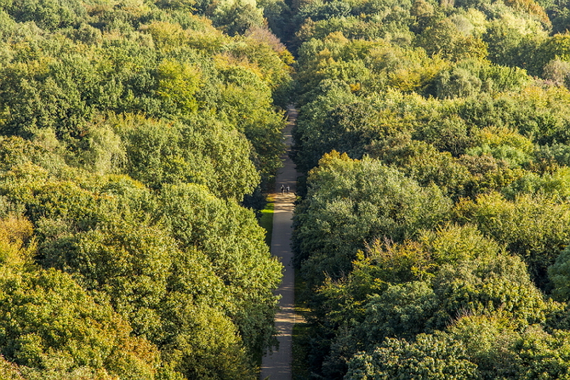 Оазис мегаполиса. 7 самых красивых городских парков планеты